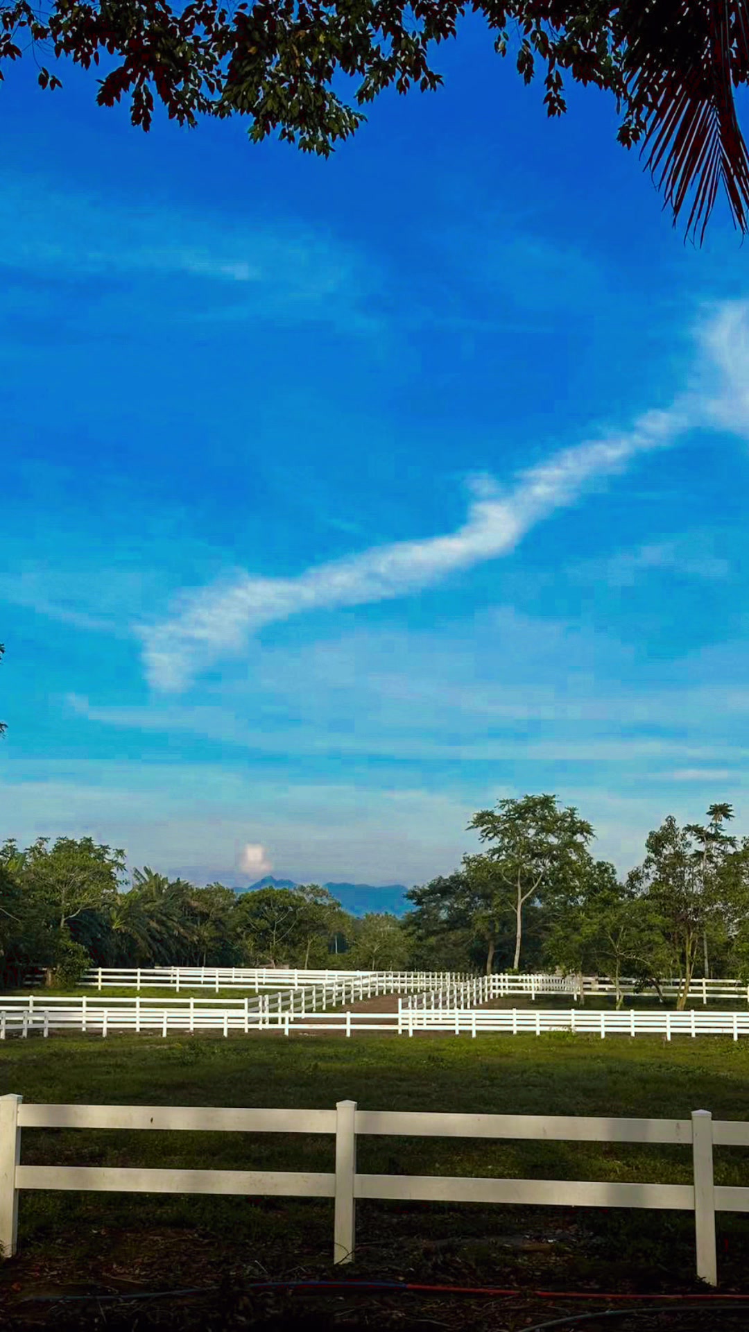 Kuumba Horse Riding ranch with white fences and mountain views